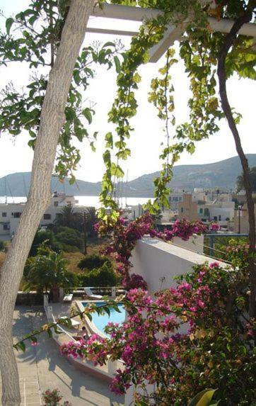 Pension Irene Hotel Иос Хора Екстериор снимка