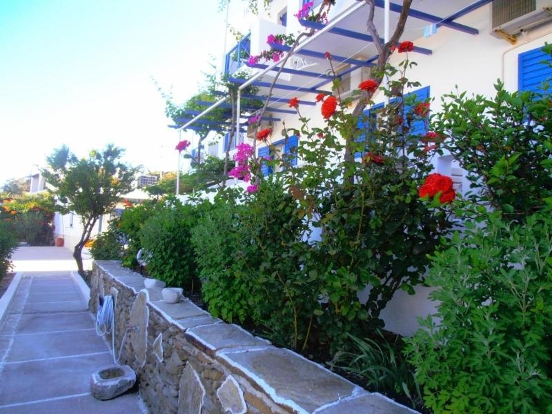 Pension Irene Hotel Иос Хора Екстериор снимка